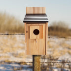 CARTMAN 0.5 Inch Thick Blue Bird Box House, Wood Bird Houses for Outside, Hummingbird House for Outside Clearance Garden Country Cottages, 2PK