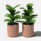 Veradek Demi Series Round Planter for Porch, Patio, Backyard | Durable Plastic-Stone Composite Material | Modern Décor for Tall Plants, Flowers