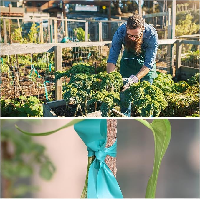 TELENT OUTDOORS Stretch Tie Tape, 1” Wide 200FT Reusable Garden Plant Ties Green Tapes for Plants, Thick Garden Vinyl Stake Ribbon for Branches Flowers Tomatoes Indoor Outdoor Greenhouse