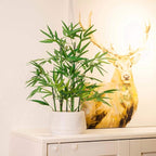 365 Blooming Decor 18 inch Tall White Potted Artificial Bamboo Plant- Luxury Artificial Bamboo Tree in White Pot for Home, Office, Kitchen, Counter Top, Indoor Decor, Money Tree, Lucky Tree.