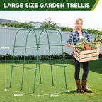 HIRALIY Cucumber Trellis for Climbing Plants Outdoor, 4ft Tall Heavy Duty Metal Garden Arch Trellis, Rustproof Plant Support Tunnel for Tomato, Grape, Bean, Raised Bed and Vegetable Gardens, Green