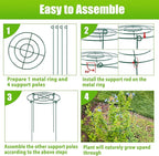4 Pack Peony Cages and Supports, 14" Dx24 H Plant Supports for Outdoor Plants, Heavy Duty Metal Peony Support Cage Flower Support Rings, Plant Support Ring for Rose Tomato Hydrangea Strawberry