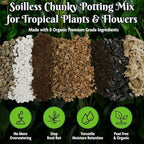 Forbidden Cereal Aroid Potting Mix 6.5QT – Chunky High-Draining Soil for Monsteras, Hoyas, Orchids & Tropical Indoor Houseplants – 8 Organic Ingredients, Peat-Free, Soilless Growing & Repotting Mix