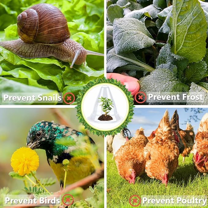 【10 Pieces】 Garden Cloches for Plants, Large Plant Covers Plant Protectors Transparent Bell Jar Cloches to Protect Plants from Birds, Slugs, Frost, Freeze Weather, 10.6" D x 9.5" H, Transparent