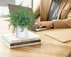 GnFlus Set of 2 Fake Plant Boston Fern Potted Artificial Plants Small Artificial Desk Plant with Potted Pots for Shelf Desk Home Bathroom Farmhouse Room Office Kitchen Farmhouse Coffee Table Decor