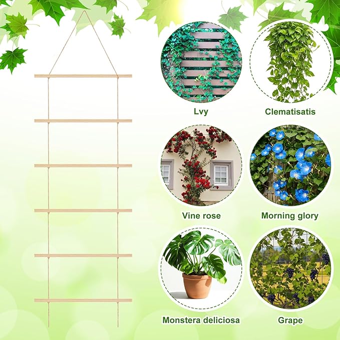 Novabright 15.7'' Chain Trellis for Climbing Plants Indoor Natural Wood Ladder Plant Support for Vines Ivy Pothos Wide Strong Climbing Support Modern Home Decor Garden Use Indoor Outdoor