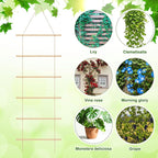 Novabright 15.7'' Chain Trellis for Climbing Plants Indoor Natural Wood Ladder Plant Support for Vines Ivy Pothos Wide Strong Climbing Support Modern Home Decor Garden Use Indoor Outdoor