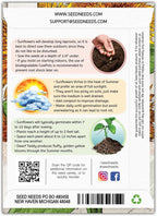 Seed Needs Sunflower Seeds for Planting Dwarf Teddy/Dwarf Sungold Sunflowers - Heirloom & Open Pollinated Flower Seed to Plant a Butterfly Garden (5 Packs)