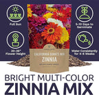 Bulk Zinnia Seeds - California Giants Mix - 1 Pound Bag Over 48,000 Flower Seeds - Mixed Colors and Large Blooms
