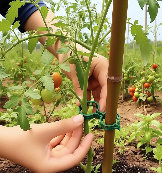 100 Pcs Plant Support Clips, Plastic Tomato Vine Clips for Securing Plants, Garden Fixing Clips for Climbing Plants, Grape & Vine Vegetables, Green