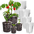 Bluepro 36 Packs 7/5/4/3.5 Inch Reinforced Clear Nursery Pots with Drainage Hole, Transparent Variety Pack Plastic Plant Pot Seedling Planter for Vegetable Propagation, Root Cutting, Seed Starting