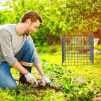 Garden Plant Protector Mesh, 12x12 Inch Metal Wire Cage with Nylon Ties & U-Shaped Stakes, Animal Protection for Vegetable, Plant and Shrub Seedlings