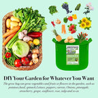 3 Gallon Grow Bags, Colorful Grow Bags 3Gal Fabric Planters Grow Bags, Fabric Plant Grow Bags Garden Bgas Fabric Pots Tomato Planter Bags for Vegetables Flowers, 5-Pack