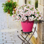 LikSoor Outdoors Artificial Flowers Spring Summer Decor Fake Petunias UV Resistant Flower Faux 12 Bundles Realistic Plastic Plant Porch Patio Window Box Garden Decoration (White)