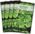 Sow Right Seeds - Little Gem Lettuce Seeds for Planting - Non-GMO Heirloom Packet with Instructions to Plant a Home Vegetable Garden - Outdoors or Indoors Hydroponics - Miniature Romaine Variety (4)