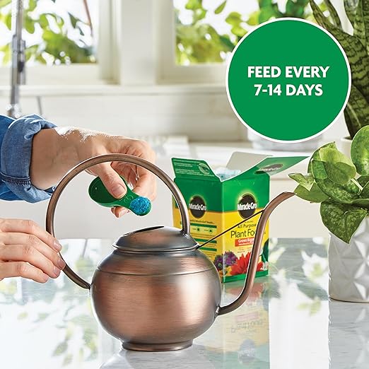 Miracle-Gro Water Soluble All Purpose Plant Food - Fertilizer For All Indoor or Outdoor Plants including Roses, Flowers, Vegetables, Houseplants, Trees, and Shrubs, 1.5 lbs.