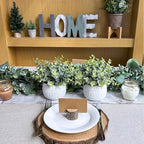 Winlyn Set of 2 Small Artificial Potted Plants Faux Eucalyptus Plant in White Geometric Ceramic Pots Small Desk Potted Plants 7.1" Tall for Home Office Room Decorations Wedding Greenery Centerpiece