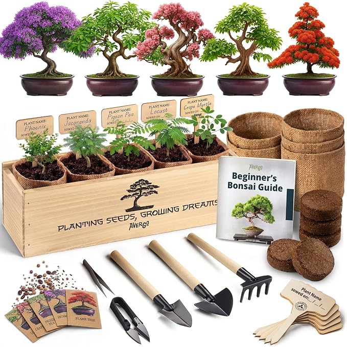 AVERGO Bonsai Tree Kit Classic - 5X Unique Japanese Bonzai Trees | Complete Indoor Bonsai Starter Kits for Growing Trees – DIY Gardening Gifts for Mother, Women & Men