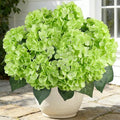 AGIRL 3 Bundles Green Artificial Hydrangea Flowers for Outdoors, UV Resistant Lifelike Faux Flowers for Spring Indoor Outdoor Garden Patio Porch Balcony Home Decoration Wedding Party Centerpieces