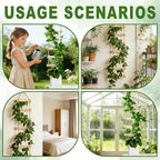 Extra Tall 6ft Wooden Ladder Trellis for Climbing Plants - Sturdy Indoor/Outdoor Plant Support,Easy Assembly & Space-Saving Vertical Garden Decor for Potted Plants, Vines, Pothos, Monstera
