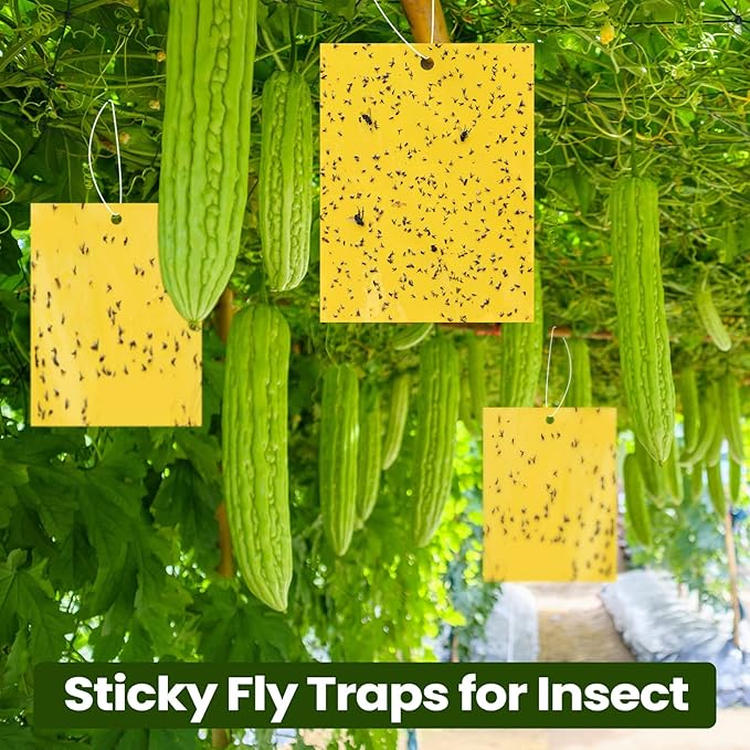 Qualirey 100 Pcs 6x8 Inch Yellow Sticky Traps for Gnats, Dual-Sided Sticky Gnat Traps for Indoor Outdoor Plants, Pest Control for Fungus Gnats, Fruit Flies, Whiteflies – Bulk Pack with Twist Ties