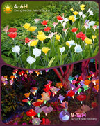 Solar Garden Lights Outdoor Waterproof 2 Pack Swaying Butterfly Light with 7- Color Changing Rose Flowers Solar Lights for Outside Garden Decor Lawn Yard Patio Path,Gifts for Mother's Day Women