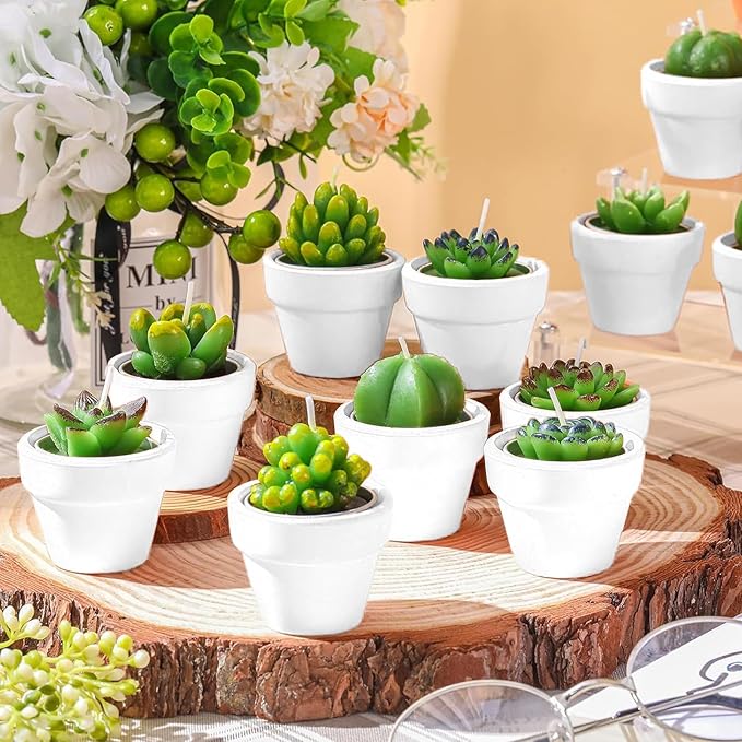 Shihanee 36 Pcs Succulent Cactus Tealight Candles with Mini Terracotta Pots, Spring Decor, Fiesta Cinco De Mayo Party Decorations, Mexican Party Favors, Baby Shower Wedding Table Decor(White)