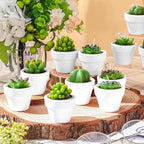 Shihanee 36 Pcs Succulent Cactus Tealight Candles with Mini Terracotta Pots, Spring Decor, Fiesta Cinco De Mayo Party Decorations, Mexican Party Favors, Baby Shower Wedding Table Decor(White)