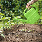 Watering Can - for Indoor Plant Garden - 1/3 Gallon - Green