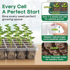 BlumWay Seed Starter Tray with Grow Light,2 Pack 80 Cells Seedling Tray Kit with Humidity Dome/Indoor Plant Starter Kit, Adjustable Brightness Plant Germination Trays-Green