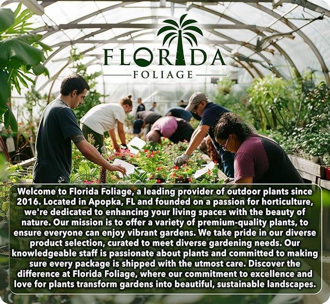 Coral Honeysuckle | 3 Live Plants | Lonicera Sempervirens | Attracts Hummingbirds, Red Trumpet Flowers, Fast Growing Vines, Low Maintenance, Long Blooming Season, Garden Climbing Vine
