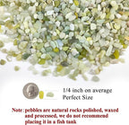 FANTIAN 5 lbs Jade Pebbles for Indoor Plants,1/4 inch Polished Gravel Rocks for Plants, Succulents, Cactus, Vases, Terrarium and Outdoor Gardening