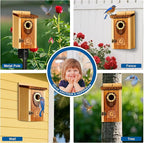 SISTERBIRD Pack of 2 Bluebird Houses for Outside, Premium Wooden Bird House, Bluebird House for Outdoor, Courtyard Decoration Bird Nest, Bluebird Finch Swallow Wren Chickadee