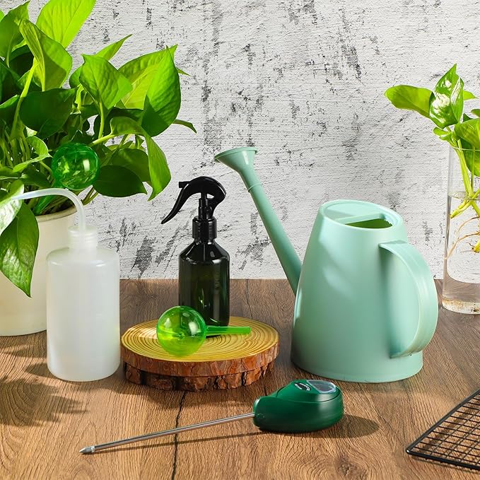 Reallnaive 6 Pcs Indoor Watering Can Set 1/2 Gallon Can 6.8 oz Spray Bottle 17 oz Squeeze Bottle Plant Watering Globes Soil Moisture Meter Small Spraying Set for Indoor Outdoor Plants(Mint Green)