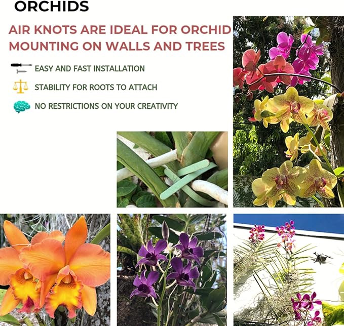 ArtAK Wall Planters for Air Plants & Orchids | Vertical Mount Holders | Hanging Terrariums & Plant Hooks | Indoor/Outdoor Modern Display (Plants Not Included) – Set of 5 Air Knots B5