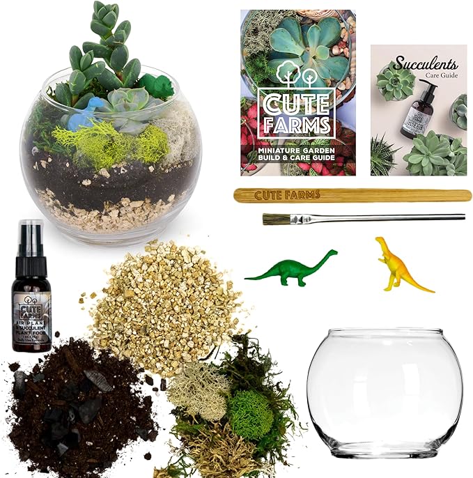 Cute Farms Glass Terrarium Kit | Just Add Your Own Plants (One Glass Bowl)