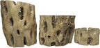 3 Natural Cholla Wood Air Plant Display Holders Tiered 1, 2 & 3 inch Individually Unique Round Decorative Stands