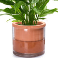 Phoenix Vine 10 Inch Self Watering Planter, White Terracotta Pot for Plants, Indoor Cylinder Terra Cotta Pot with Glass Vase