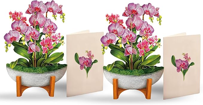 Freshcut Paper Pop Up Cards, Mini Orchid Oasis (Set of 2), 6 Inch Mini Sized Forever Flower Bouquet 3D Popup Greeting Cards, Birthday Card, Get Well Gifts, Blank Notecard & Envelope