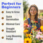 HOME GROWN Premium Wildflower Seeds Bulk - 134,000+ Non-GMO USA Native Seeds for Planting Outdoors - 23 Varieties Wild Flower Mix for Butterfly Garden, Perennial & Annual Flowers (3oz)