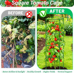 6 Pack Square Tomato Cages for Garden, 60 Inch Adjustable Tomato Stakes, Metal Tomato Trellis, Garden Plant Support for Potted Climbing Plants, Vegetables Flowers Fruits, Raised Garden Bed