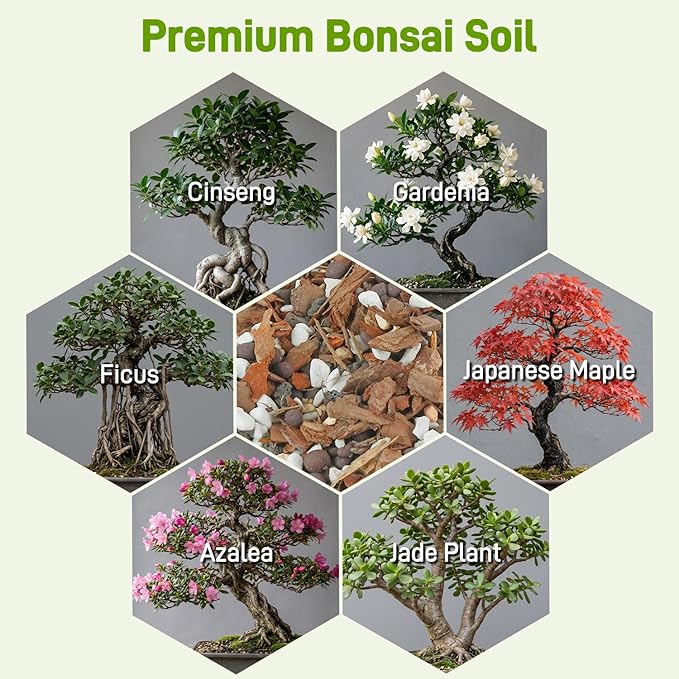 Avalution Bonsai Soil 9QT,Organic Bonsai Soil Mix Perlite,Lava Rock,Pine Bark,Clay Pebbles for Indoor Plants,Premium Fast Draining Pre Mixed Potting Soil for Bonsai Trees Repotting