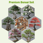 Avalution Bonsai Soil 3QT,Organic Bonsai Soil Mix Perlite,Lava Rock,Pine Bark,Clay Pebbles for Indoor Plants,Premium Fast Draining Pre Mixed Potting Soil for Bonsai Trees Repotting
