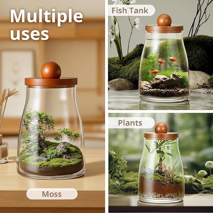 Desktop Glass Plant Terrarium with Grow Light, for Moss, Succulent, Miniature Gardening Landscape, Betta Fish Tank, Desktop Decorations for Home and Office, Plant Lovers Gift (2.7L, H:8.3" D:6.1")