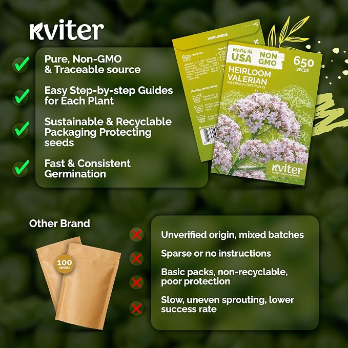 KVITER 650 Valerian Seeds (Valeriana Officinalis) – Common Valerian Herb Garden Seed Packets, Fragrant, Deer-Resistant, Non GMO Seed - Heirloom Herb Seeds for Outdoor Garden, Beds, Containers