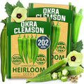 HOME GROWN Clemson Spineless Okra Seeds 202+ Heirloom Non-GMO Seeds for Planting, High Germination, Prolific Heat Loving Vegetable, Tender Pods, Easy to Harvest Home Garden (Abelmoschus esculentus)