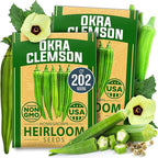 HOME GROWN Clemson Spineless Okra Seeds 202+ Heirloom Non-GMO Seeds for Planting, High Germination, Prolific Heat Loving Vegetable, Tender Pods, Easy to Harvest Home Garden (Abelmoschus esculentus)