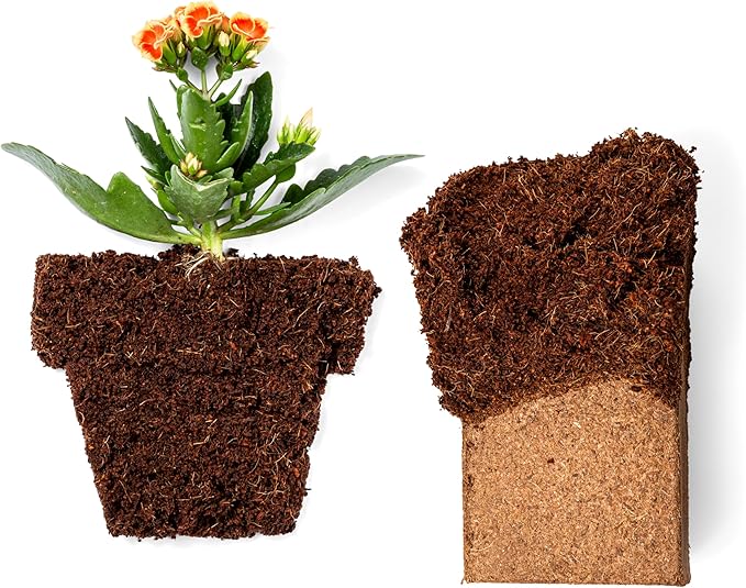Coco Bliss Coco Coir Bricks (20-Pack, 650gm Bricks) - Organic Coco Coir for Plants - OMRI-Listed Coconut Coir for Plants - Coconut Coir Bricks - Coco Peat for Plants, Garden Soil, & Organic Mulch