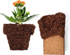 Coco Bliss Coco Coir Bricks (20-Pack, 650gm Bricks) - Organic Coco Coir for Plants - OMRI-Listed Coconut Coir for Plants - Coconut Coir Bricks - Coco Peat for Plants, Garden Soil, & Organic Mulch