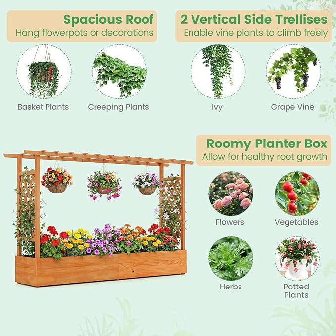 BECOMFORT Raised Garden Bed with Trellis & Hanging Roof, 45" Tall Fir Wood Planter Box with Drainage Holes, Outdoor Elevated Garden Planter for Climbing Vines (Orange, 79" Lx17.5 Wx45 H)